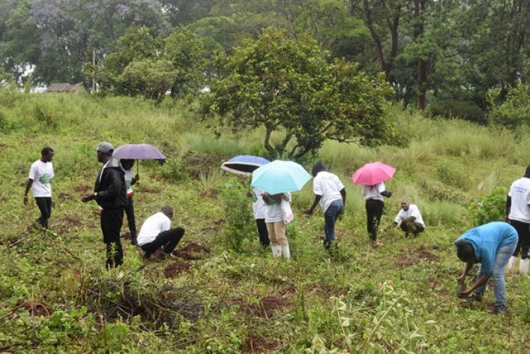 National Tree Planting Day at Kanyariri Farm, Upper Kabete Campus