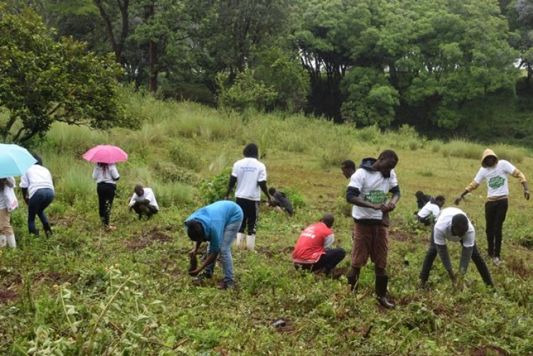 National Tree Planting Day at Kanyariri Farm, Upper Kabete Campus