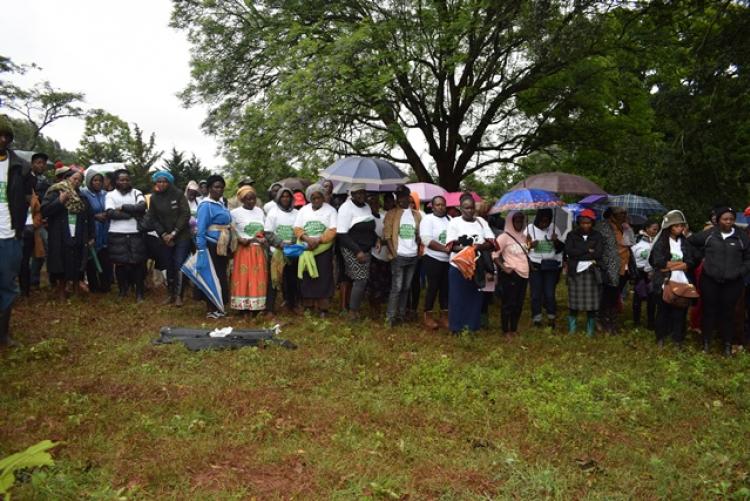 National Tree Planting Day at Kanyariri Farm, Upper Kabete Campus