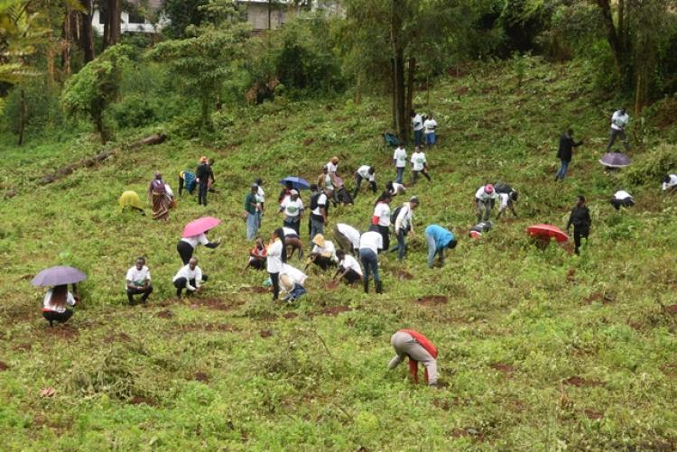 National Tree Planting Day at Kanyariri Farm, Upper Kabete Campus