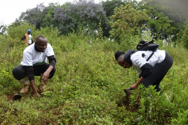 National Tree Planting Day at Kanyariri Farm, Upper Kabete Campus