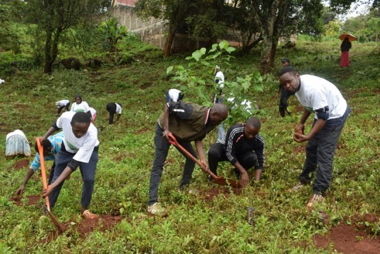 National Tree Planting Day at Kanyariri Farm, Upper Kabete Campus