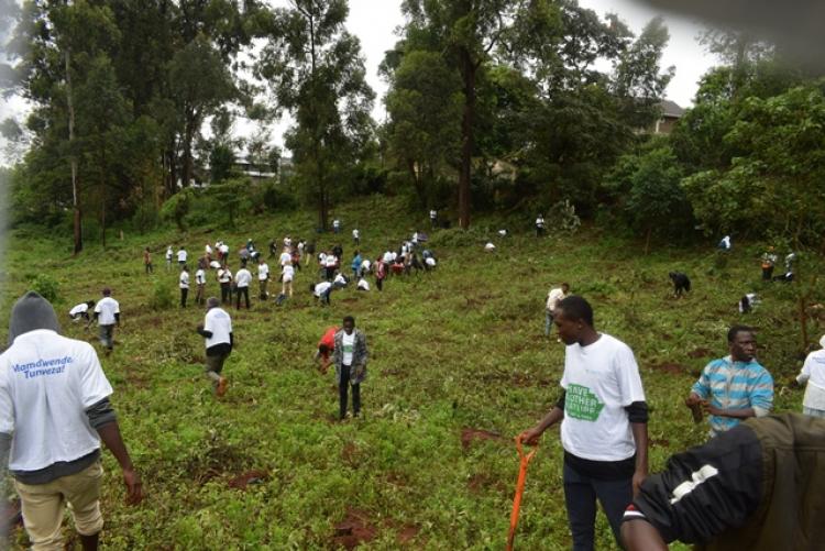 National Tree Planting Day at Kanyariri Farm, Upper Kabete Campus