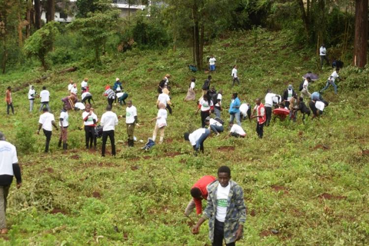 National Tree Planting Day at Kanyariri Farm, Upper Kabete Campus