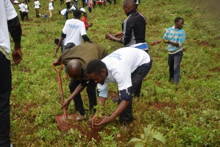 National Tree Planting Day at Kanyariri Farm, Upper Kabete Campus