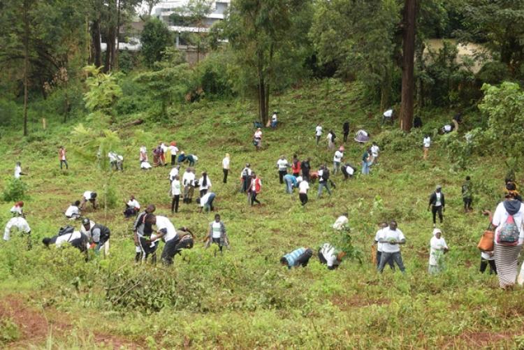 National Tree Planting Day at Kanyariri Farm, Upper Kabete Campus