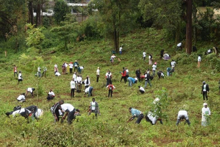 National Tree Planting Day at Kanyariri Farm, Upper Kabete Campus