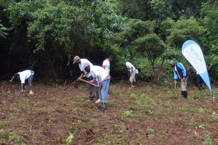 National Tree Planting Day at Kanyariri Farm, Upper Kabete Campus