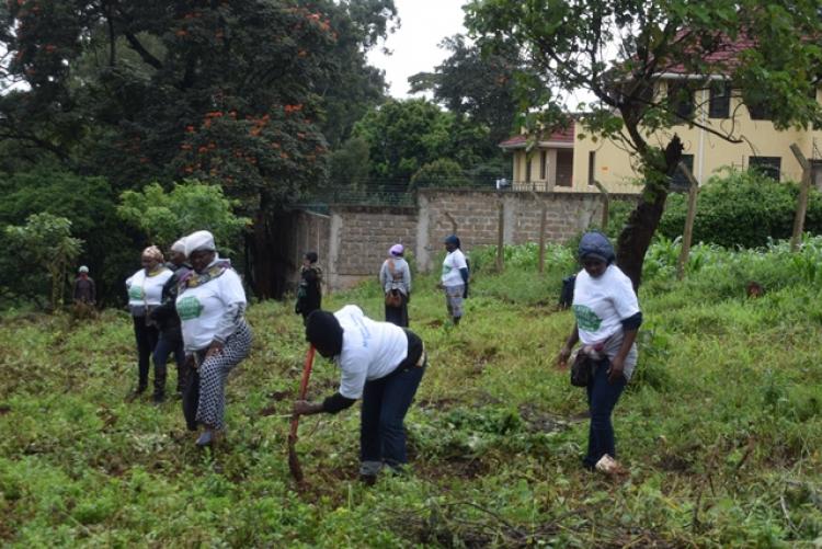 National Tree Planting Day at Kanyariri Farm, Upper Kabete Campus