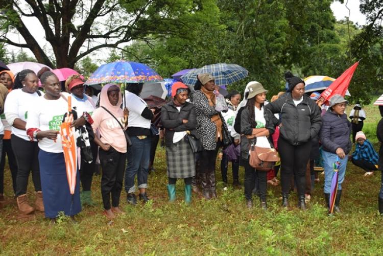 National Tree Planting Day at Kanyariri Farm, Upper Kabete Campus