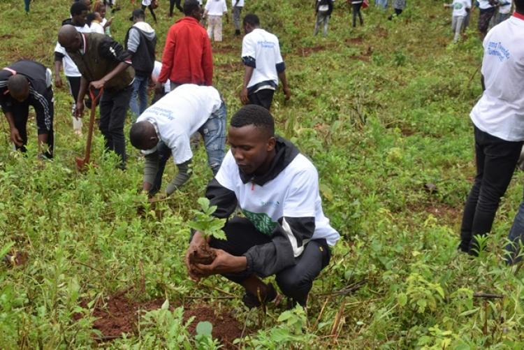 National Tree Planting Day at Kanyariri Farm, Upper Kabete Campus