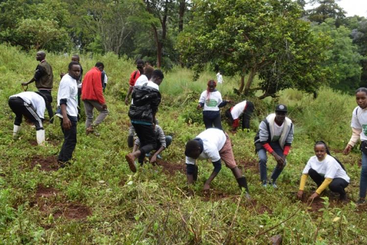 National Tree Planting Day at Kanyariri Farm, Upper Kabete Campus