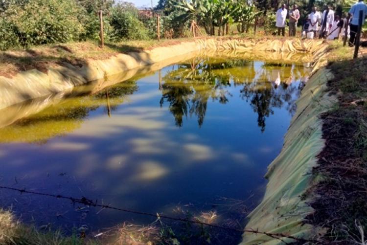 Academic trip for postgraduate students in Nakuru RVIL and Cavarino Farm, Narok County