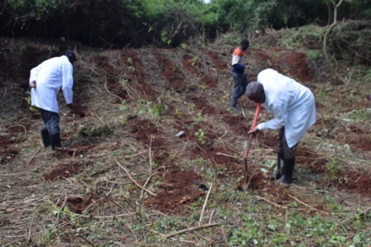 Vet. Pathology Tree Planting which took place at Kanyariri Farm on 17th April 202