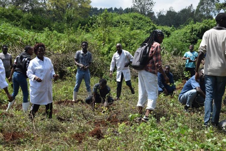 Vet. Pathology Tree Planting which took place at Kanyariri Farm on 17th April 202