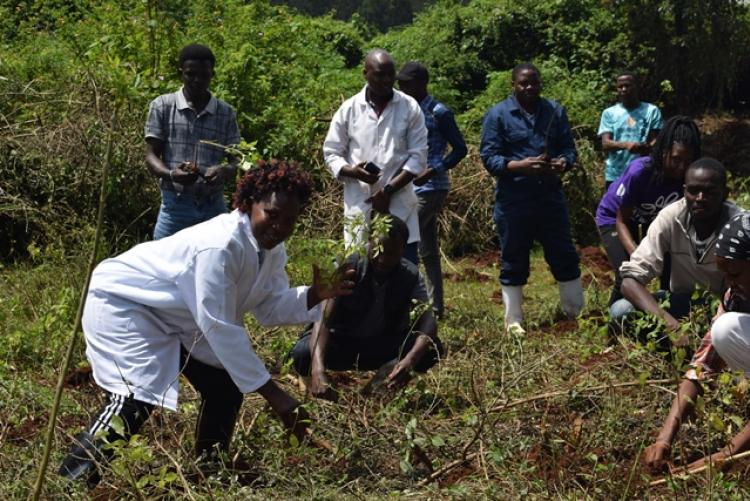 Vet. Pathology Tree Planting which took place at Kanyariri Farm on 17th April 202