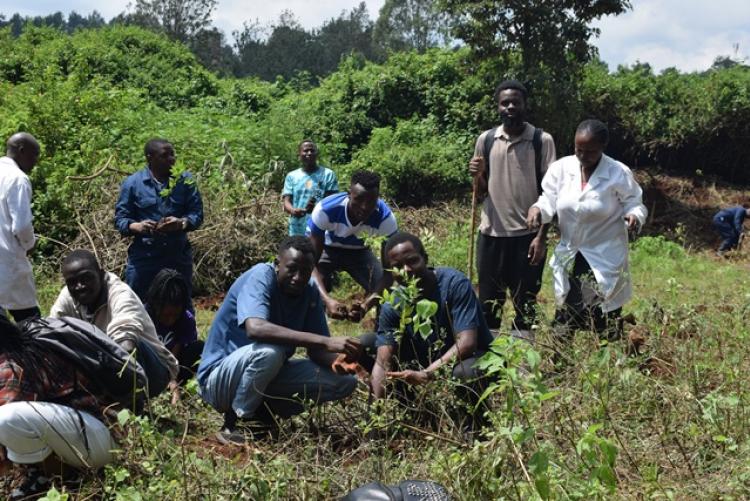 Vet. Pathology Tree Planting which took place at Kanyariri Farm on 17th April 202