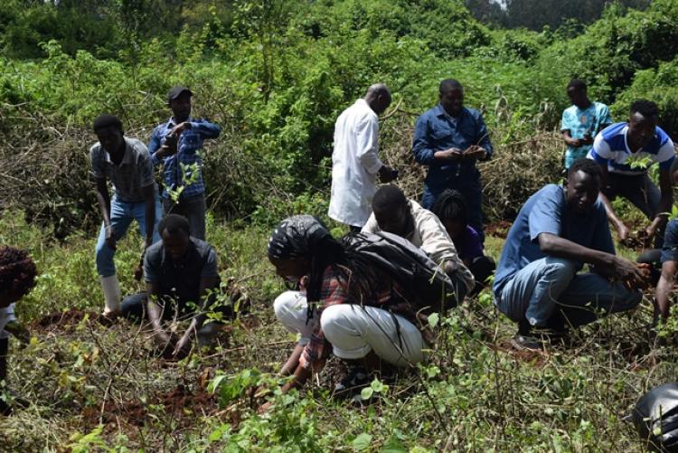 Vet. Pathology Tree Planting which took place at Kanyariri Farm on 17th April 202