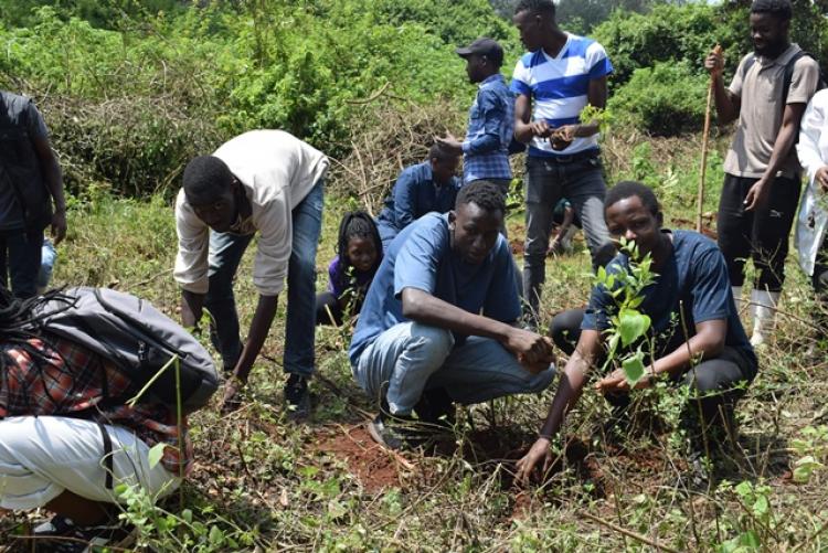 Vet. Pathology Tree Planting which took place at Kanyariri Farm on 17th April 202