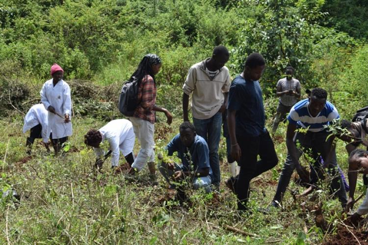 Vet. Pathology Tree Planting which took place at Kanyariri Farm on 17th April 202