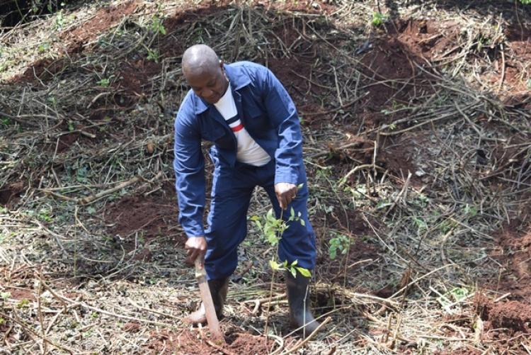 Vet. Pathology Tree Planting which took place at Kanyariri Farm on 17th April 202