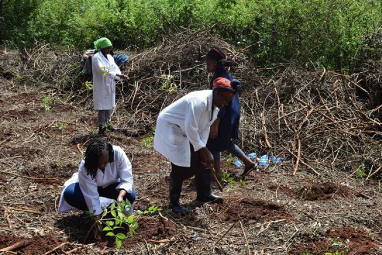 Vet. Pathology Tree Planting which took place at Kanyariri Farm on 17th April 202