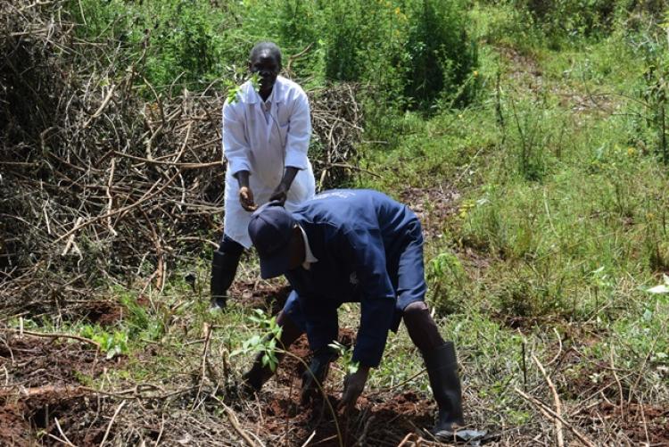 Vet. Pathology Tree Planting which took place at Kanyariri Farm on 17th April 202