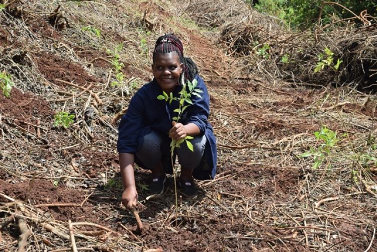 Vet. Pathology Tree Planting which took place at Kanyariri Farm on 17th April 202