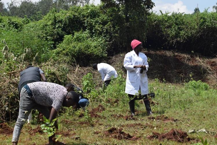 Vet. Pathology Tree Planting which took place at Kanyariri Farm on 17th April 202