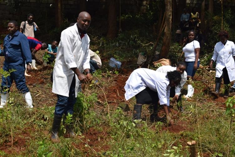 Vet. Pathology Tree Planting which took place at Kanyariri Farm on 17th April 202