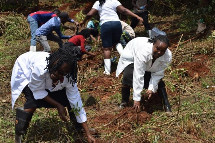 Vet. Pathology Tree Planting which took place at Kanyariri Farm on 17th April 202