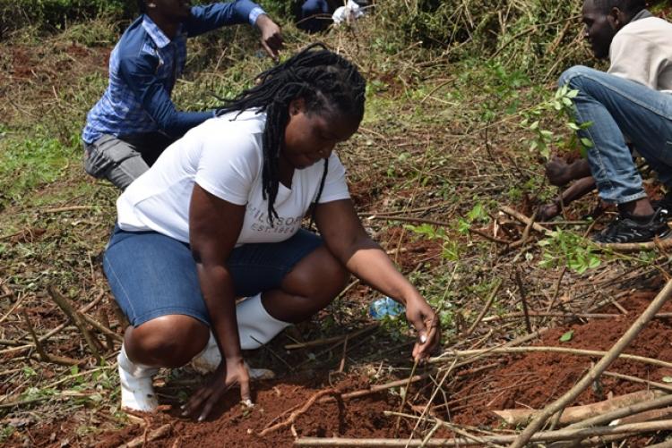 Vet. Pathology Tree Planting which took place at Kanyariri Farm on 17th April 202