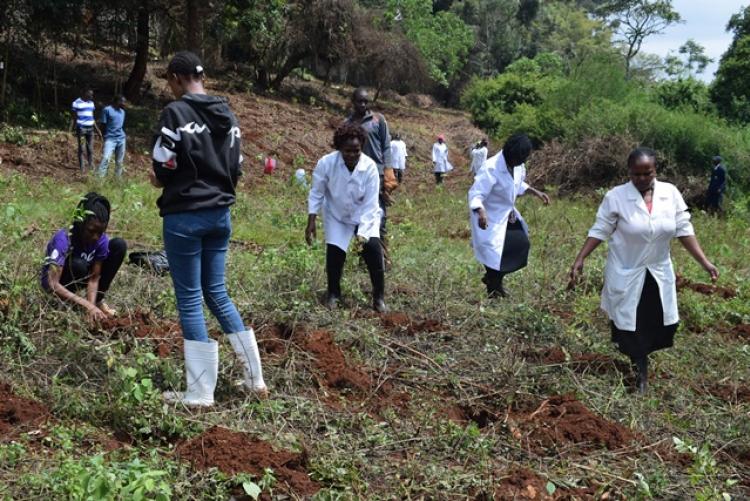 Vet. Pathology Tree Planting which took place at Kanyariri Farm on 17th April 202