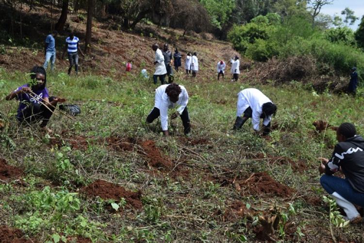 Vet. Pathology Tree Planting which took place at Kanyariri Farm on 17th April 202