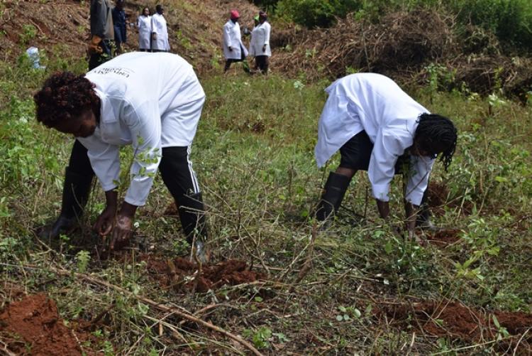 Vet. Pathology Tree Planting which took place at Kanyariri Farm on 17th April 202