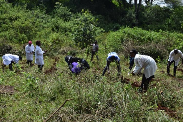 Vet. Pathology Tree Planting which took place at Kanyariri Farm on 17th April 202