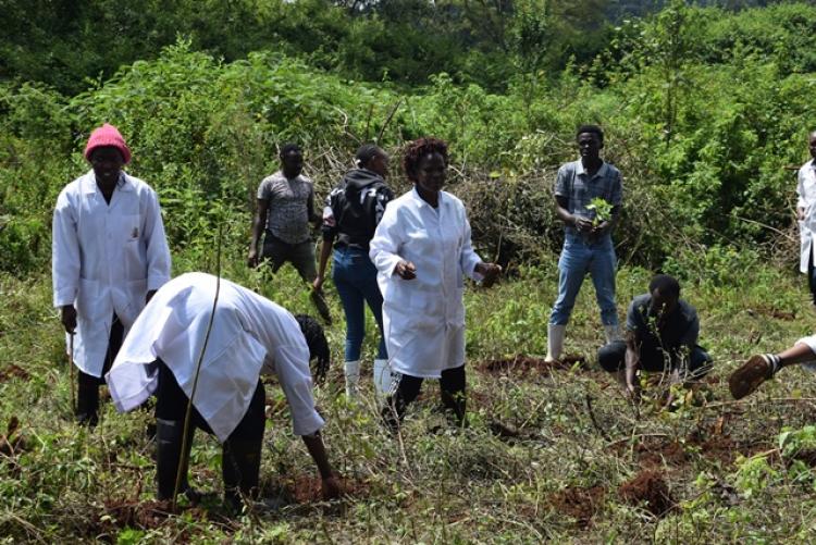 Vet. Pathology Tree Planting which took place at Kanyariri Farm on 17th April 202