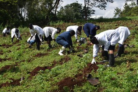 VET PATHOLOGY TREE PLANTING INITIATIVE AT KANYARI VETERINARY FARM 