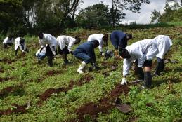 VET PATHOLOGY TREE PLANTING INITIATIVE AT KANYARI VETERINARY FARM 